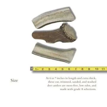 WhiteTail Naturals Elk Antlers for Large Dogs - 3 Pack