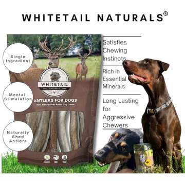 WhiteTail Naturals Elk Antlers for Large Dogs - 3 Pack