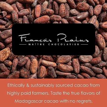 Francois Pralus Le 100% Chocolate Bar - 3 pack