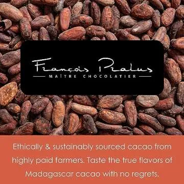 Francois Pralus Le 100% Chocolate Bar 3-pack - Pure Indulgence