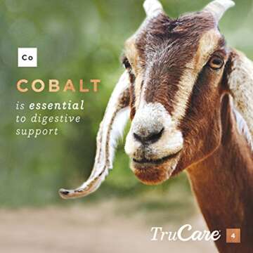 TruCare 4 Top-Dress Trace Mineral Blend for Livestock: Beef Cattle, Dairy Cattle, Deer, Elk, Goats (Zinc, Manganese, Copper, Cobalt)
