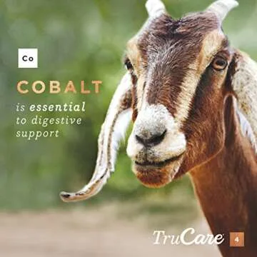TruCare 4 Top-Dress Trace Mineral Blend for Livestock