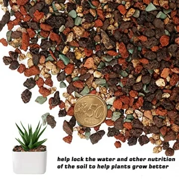 Mix Horticultural Lava Rock Pebbles for Plants and Decor
