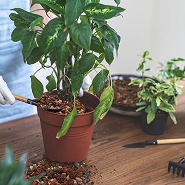 Mix Horticultural Lava Rock Pebbles for Plants and Decor