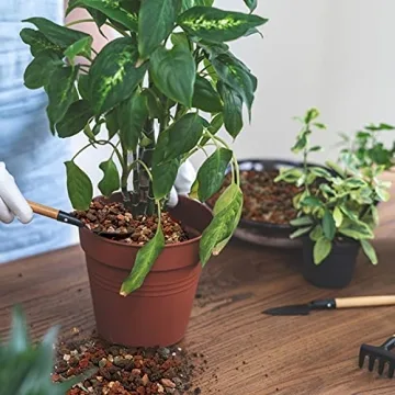 Mix Horticultural Lava Rock Pebbles for Plants and Decor