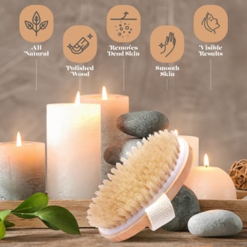 Natural Bristle Dry Skin Body Brush Eco-Friendly Exfoliation