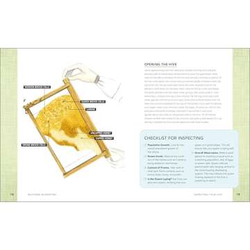 Backyard Beekeeping: Everything You Need to Know to Start Your First Hive