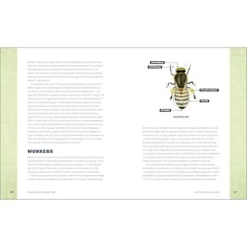 Backyard Beekeeping: Everything You Need to Know to Start Your First Hive