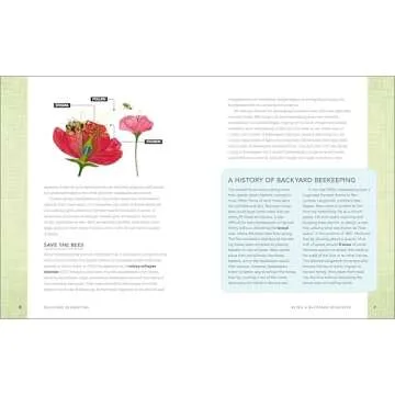 Backyard Beekeeping: Everything You Need to Know to Start Your First Hive