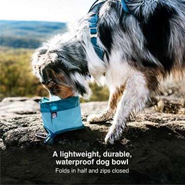 Kurgo Zippy Bowl for Dogs, Collapsible Travel Dog Bowls, Pet Food & Water Hiking Container, Food Gra...