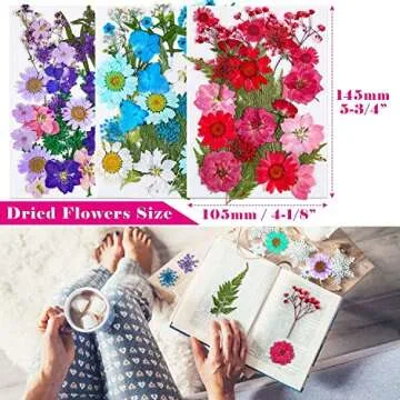Thrilez 100Pcs Dried Pressed Flowers for Crafts