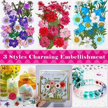 Thrilez 100Pcs Dried Pressed Flowers for Crafts