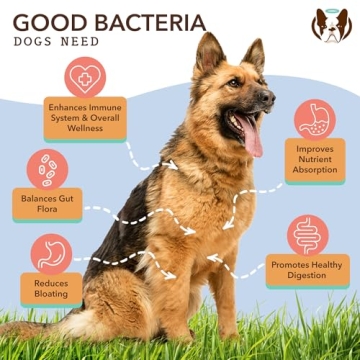 Natural Dog Probiotic Chews for Gut Health & Digestion