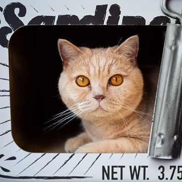 District 70 Sardine Cardboard Cat Scratcher for Cats