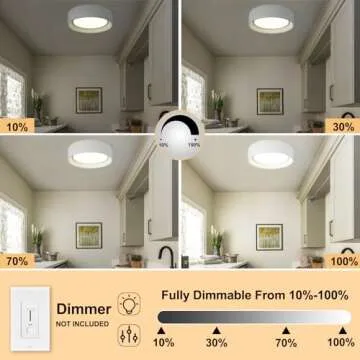 Badiegh 24W Dimmable Ceiling Light | Modern Fixture 5CCT