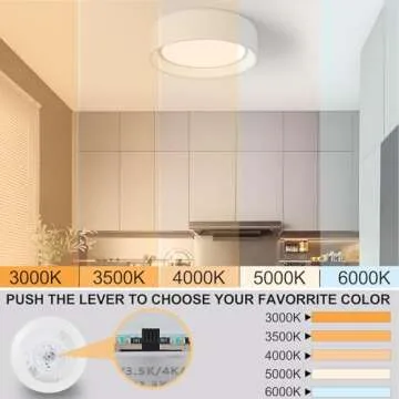Badiegh 24W Dimmable Ceiling Light | Modern Fixture 5CCT