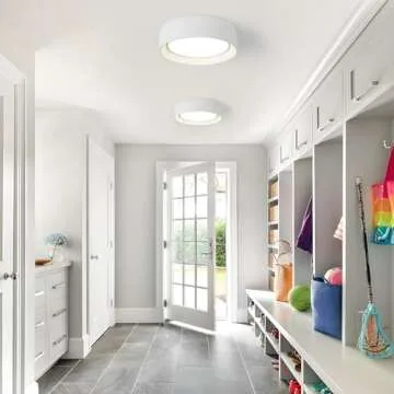 Badiegh 24W Dimmable Ceiling Light | Modern Fixture 5CCT