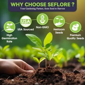 Seflore Climbing Rose Seeds 400+ Non-GMO Heirloom