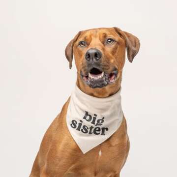 Big Sister Dog Bandana | 100% Unbleached Cotton Triangle | Pregnancy Announcement | New Baby Matchin...