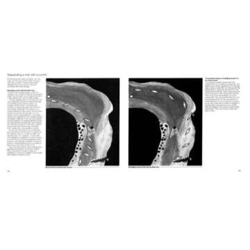 Song of the Paddle: An Illustrated Guide to Wilderness Camping