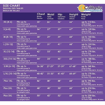 California Costumes Renaissance Fortune Teller Pirate Costume