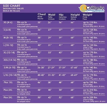 California Costumes Renaissance Fortune Teller Pirate Costume