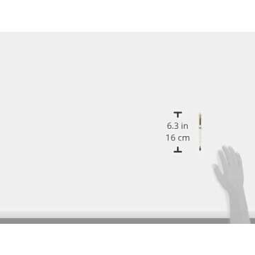 Platinum Fountain Pen #3776 Century (Extra Fine, Chenonceau White)