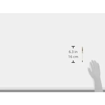 Platinum Fountain Pen #3776 Century (Extra Fine, Chenonceau White)