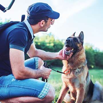 Tactical Carabiner Keychain - 12 Pack Hard Polymer Carabiners D Rings Light Weight Spring Snap Gear Clip Utility Hooks Backpack Hanging Buckle for Outdoor