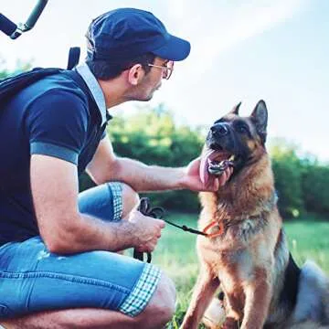 Tactical Carabiner Keychain - 12 Pack Hard Polymer Carabiners D Rings Light Weight Spring Snap Gear Clip Utility Hooks Backpack Hanging Buckle for Outdoor