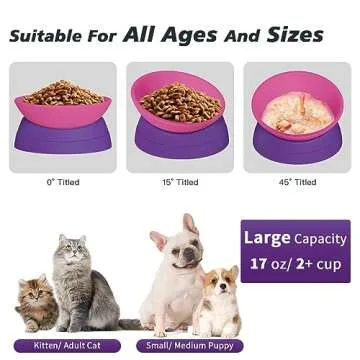 Hi Ravitat Elevated Cat Bowls for Comfortable Feeding