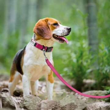 Joytale Personalized Dog Collars for All Sizes - Reflective and Comfy