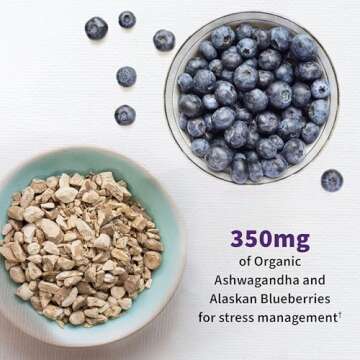 Garden of Life Dr. Formulated Probiotics Mood+ Acidophilus Probiotic Supplement - Promotes Relaxatio...