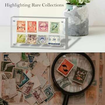 Elegant Dollar Bill Frame Display for Collectibles