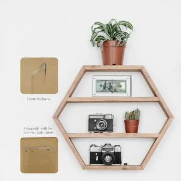 Elegant Dollar Bill Frame Display for Collectibles