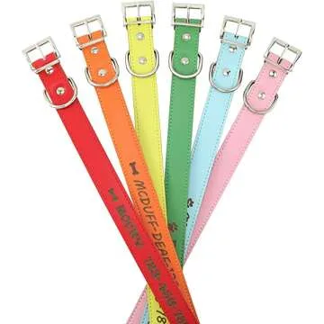 Custom Catch Personalized Dog Collar for Your Pet