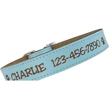 Custom Catch Personalized Dog Collar for Your Pet