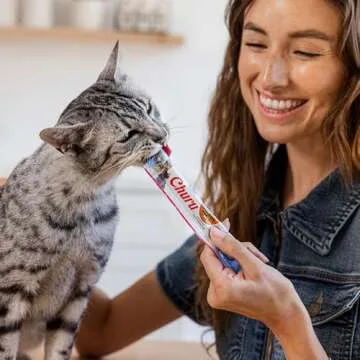 INABA Churu Cat Treats, Lickable, Squeezable Creamy Purée Cat Treat with Green Tea Extract & Taurine, 0.5 Ounces Each Tube, 60 Tubes, Salmon Variety Box