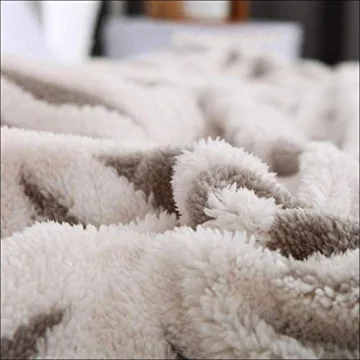 LOMAO Sherpa Fleece Blanket Fuzzy Soft Bed Blanket Dual Sided Throw Blanket fit Couch Sofa (Grey,51x63)
