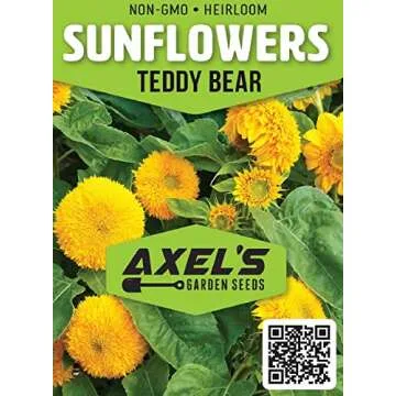 Dwarf Sunflower Seeds for Planting - Grow Teddy Bear Sun Flowers in Your Garden - 25 Non GMO Heirloo...