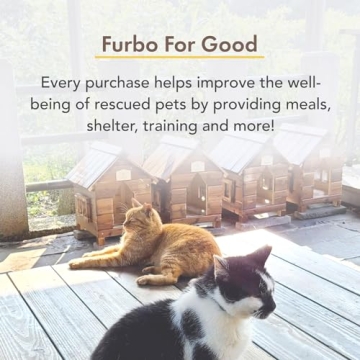 Furbo Cat Camera + Nanny Bundle: Pet Security Alert