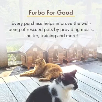 Furbo Cat Camera + Nanny Bundle: Pet Security Alert