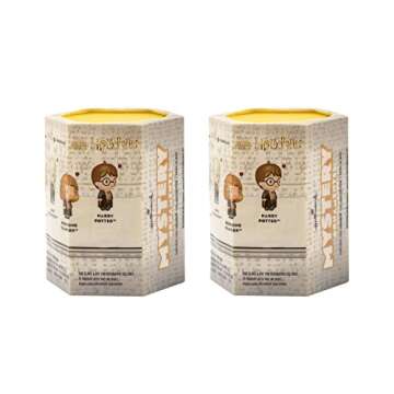 Hallmark Harry Potter Series 2 Mystery Christmas Ornaments,Plastic, Set of 2 (0003HCM1159)