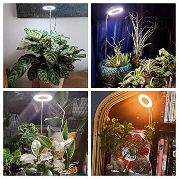 Aokrean Indoor Plant Grow Lights with Full Spectrum & Timer
