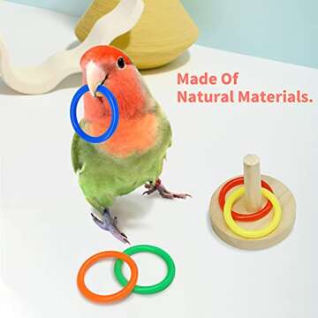 Bird Toys For Parakeets,5pcs Parrot Toys Set （Include Bird Basketball Toy、Bird Skateboard、Bird...