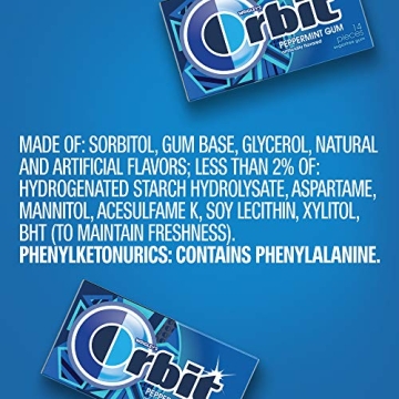 Long Lasting ORBIT Peppermint Sugarfree Gum Bulk Pack