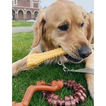 Durable Nylabone Power Chew Toy Bundle for Dogs 3 Pack