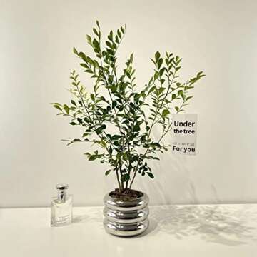 SANDYBAYTAS Ceramic Plant Pot Indoor, 4.5 Inch Flower Pot with Drainage Hole, Small Bubble Design Ceramic Planter for Home & Office Decor (Silver)