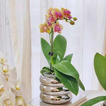 SANDYBAYTAS Ceramic Plant Pot Indoor, 4.5 Inch Flower Pot with Drainage Hole, Small Bubble Design Ceramic Planter for Home & Office Decor (Silver)