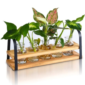 VIKEYHOME Plant Propagation Stations with Wood Stand, Desktop Plant Terrarium for Propagating Hydrop...